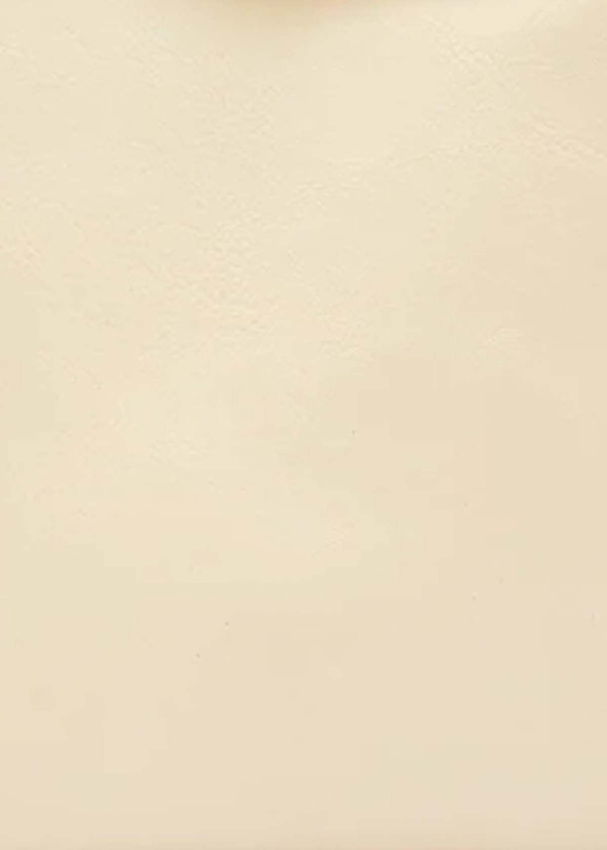 Il Bisonte Manuela Clutch - Image 8 of 11