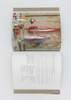 "The Modern Natural Dyer: A Comprehensive Guide to Dyeing" by Kristine Vejar Book - Thumbnail 4