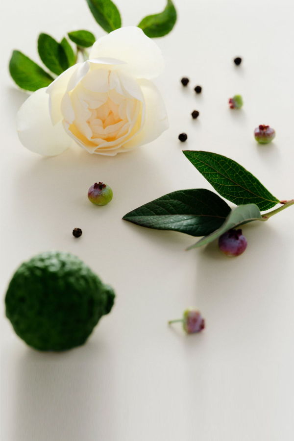 Maison Louis Marie Perfume Oil Antidris - Cassis