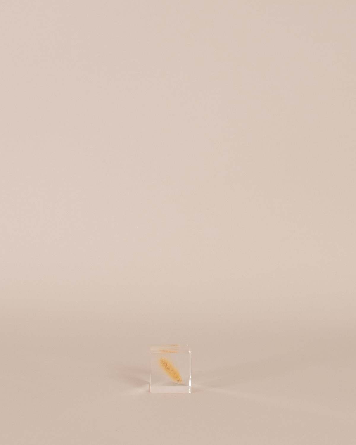 Usagi No Nedoko Bunny Tail Grass Sola Cube Art Object - Image 2 of 2