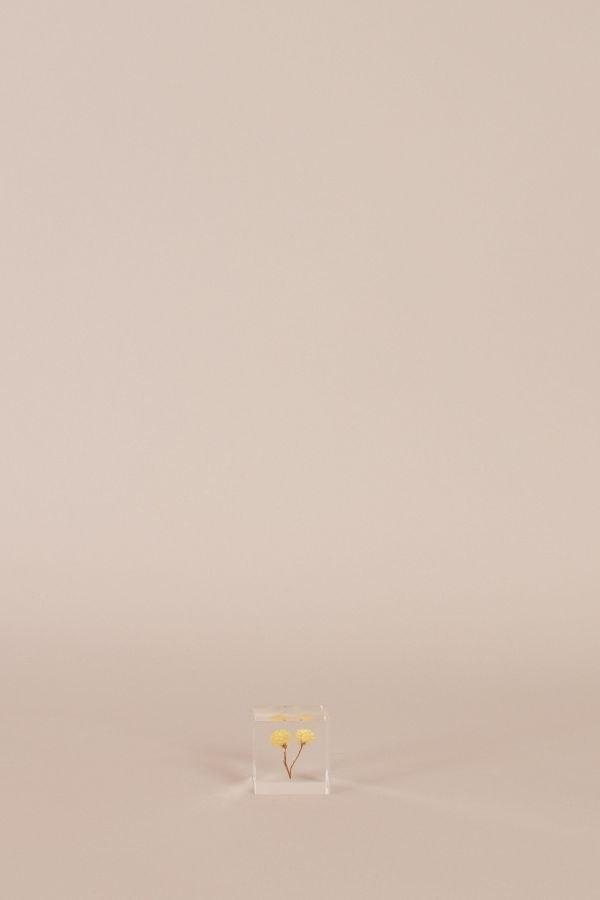 Usagi No Nedoko Immortelle Sola Cube Object