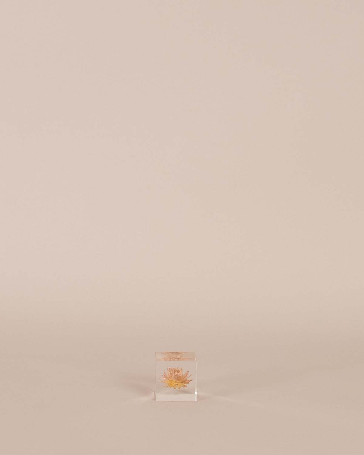 Usagi No Nedoko Strawflower Sola Cube Object - Image 1 of 3