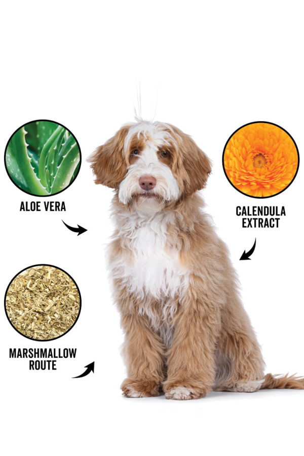 Pride + Groom DOGDAYS Hydrating Dog Shampoo for Curly & Wavy Coats Dog Shampoo