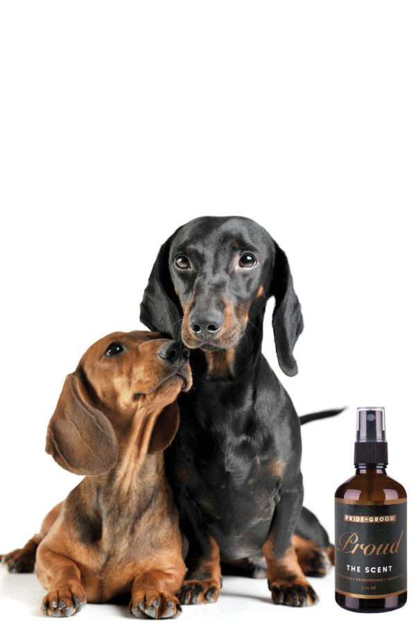 Pride + Groom Proud Dog & Cat Perfume Spray Pet Cologne