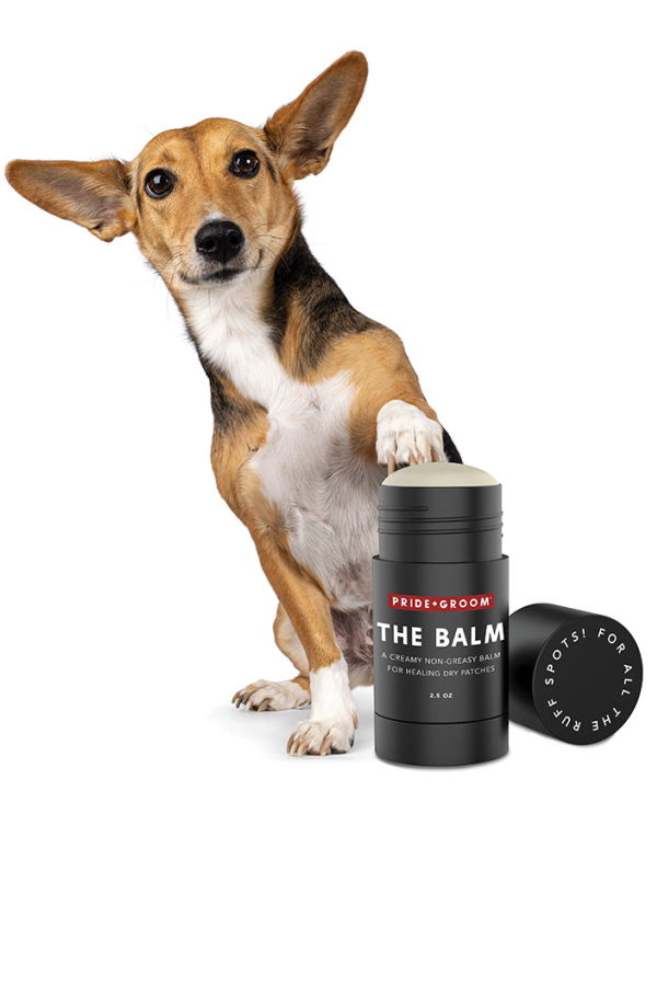 Pride + Groom The Balm Healing Pet Balm