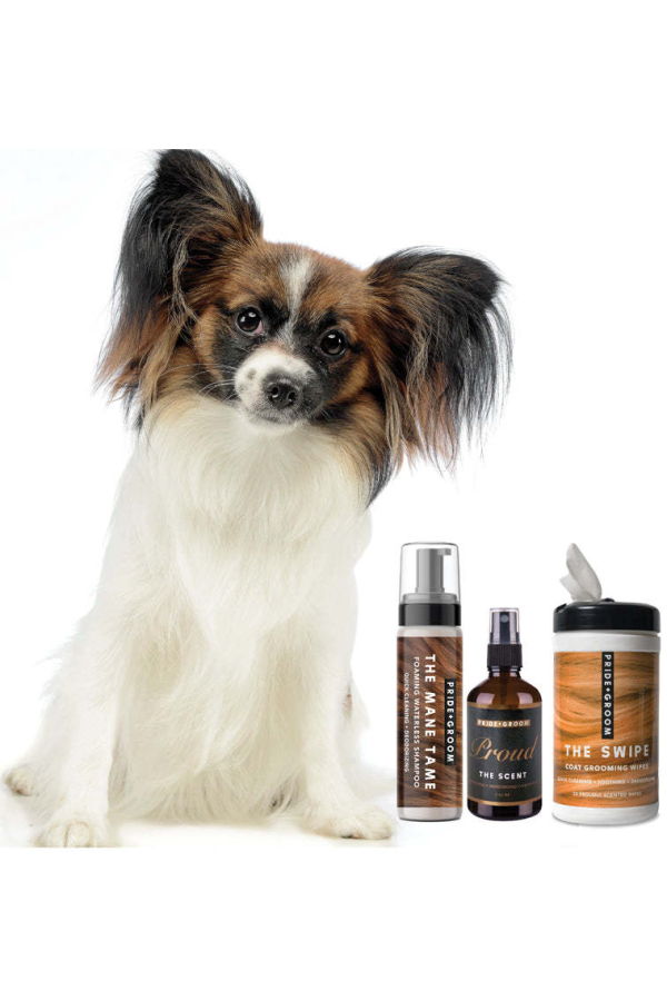 Pride + Groom The Mid Groom Bundle Grooming Set