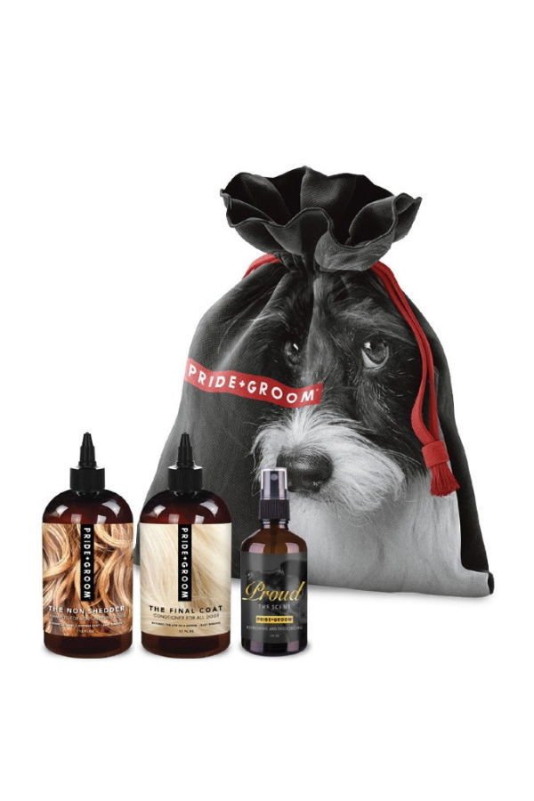 Pride + Groom The Small Deluxe Doggy Bag Dog Grooming Kit