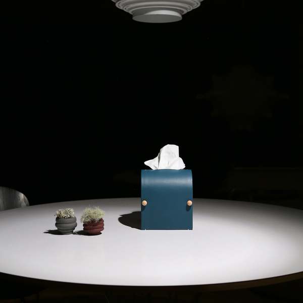 Dotlinesurface 007-1 Arch Tissue Box Cover - Teal