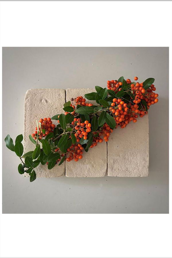 FLOWERS ON BRICKS Firethorn Card