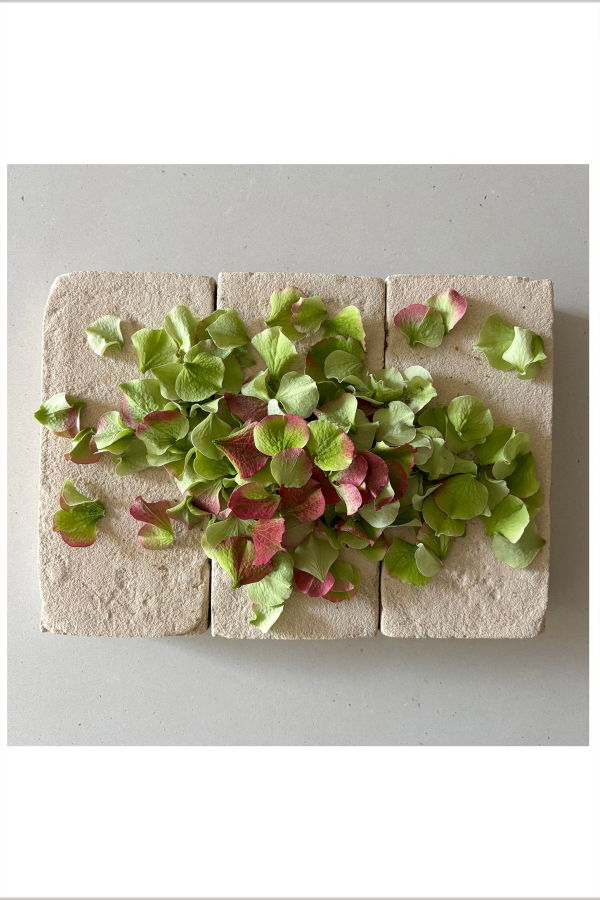 FLOWERS ON BRICKS Hydrangea Card