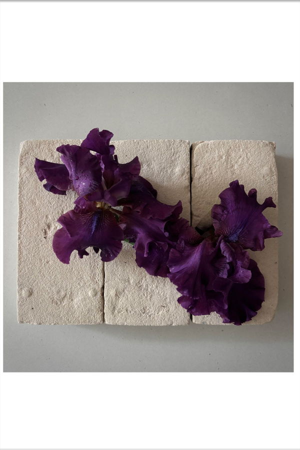 FLOWERS ON BRICKS Iris Card