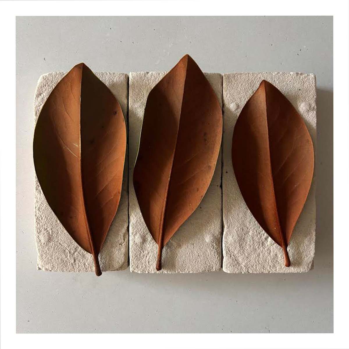 FLOWERS ON BRICKS Magnolia Card - Image 1 of 1