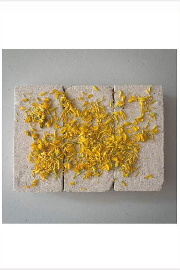 FLOWERS ON BRICKS Marigold Card