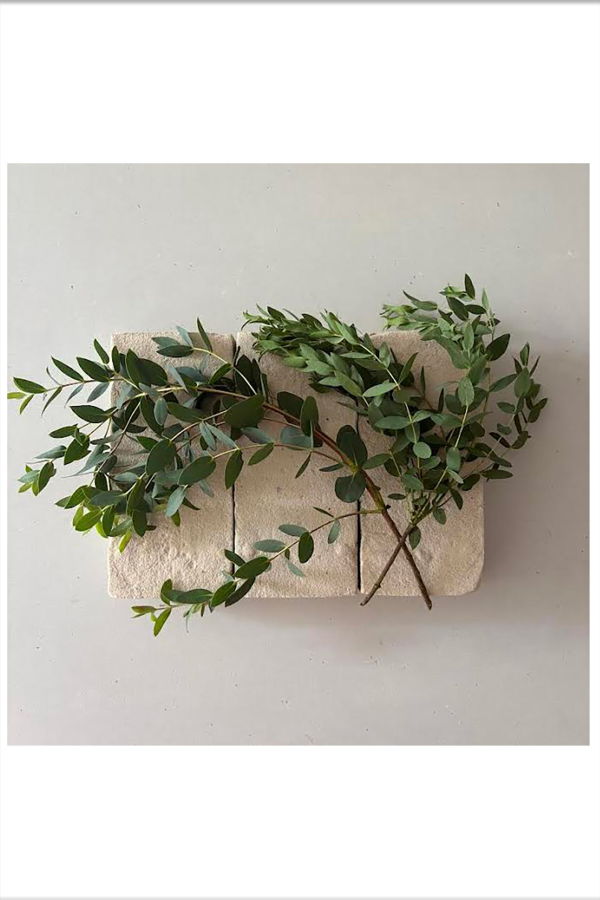 FLOWERS ON BRICKS Myrtle Card