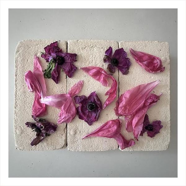 FLOWERS ON BRICKS Peony + Ranunculus Print