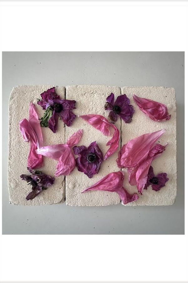 FLOWERS ON BRICKS Peony + Ranunculus Print