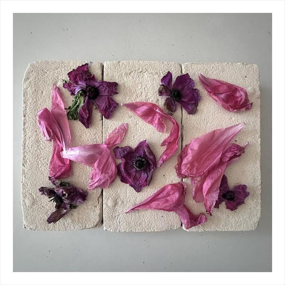 FLOWERS ON BRICKS Peony + Ranunculus Print - Image 1 of 1