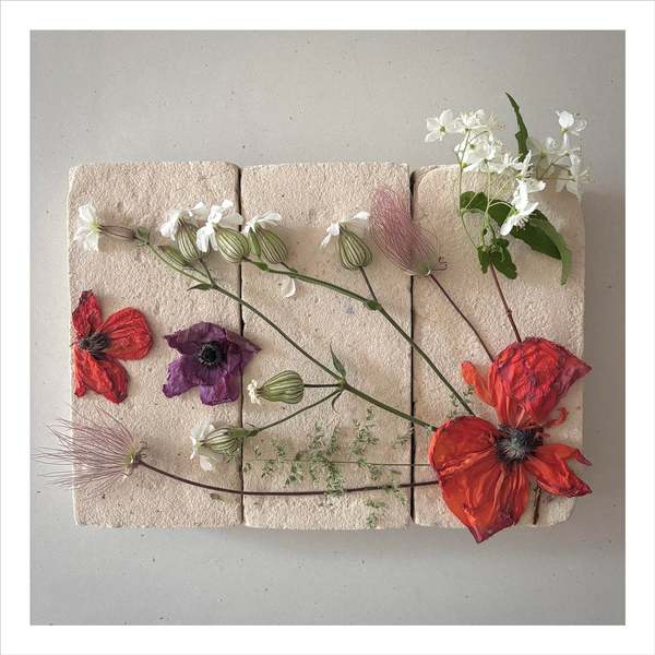 FLOWERS ON BRICKS Poppy Flowers Card