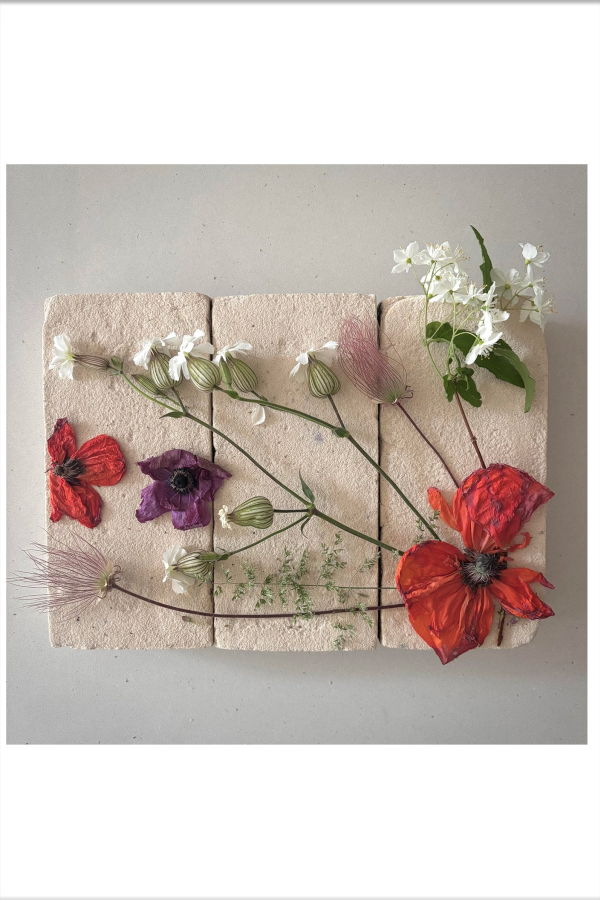 FLOWERS ON BRICKS Poppy Flowers Card