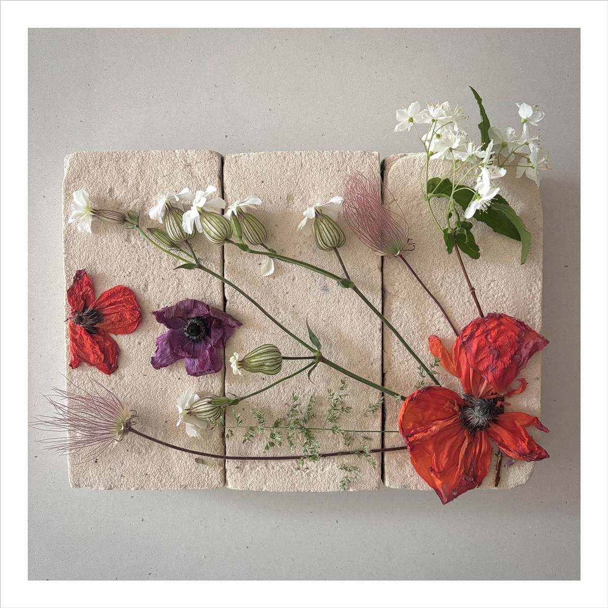 FLOWERS ON BRICKS Poppy Flowers Card - Image 1 of 1