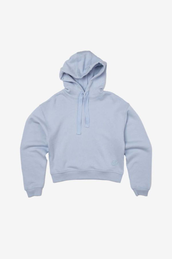 Alexander McQueen Classic Reverse Swallow Hoodie - Light Blue