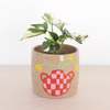 Nightshift Ceramics Small Ceramic Planter, Floral Vase - Checkerboard - Thumbnail 1