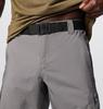 Columbia 2030741023 Shorts - City Grey - Thumbnail 4