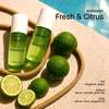 Dusa Fragrances Bergamot Perfume Mist - 3.4 fl oz - Thumbnail 4