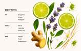 Dusa Fragrances Bergamot Perfume Mist - 3.4 fl oz - Thumbnail 7