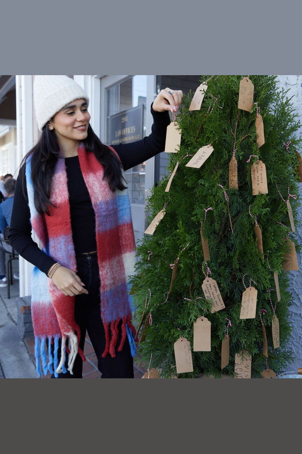 Vismaya Brushed Checkered Print Scarf - Lilac Red