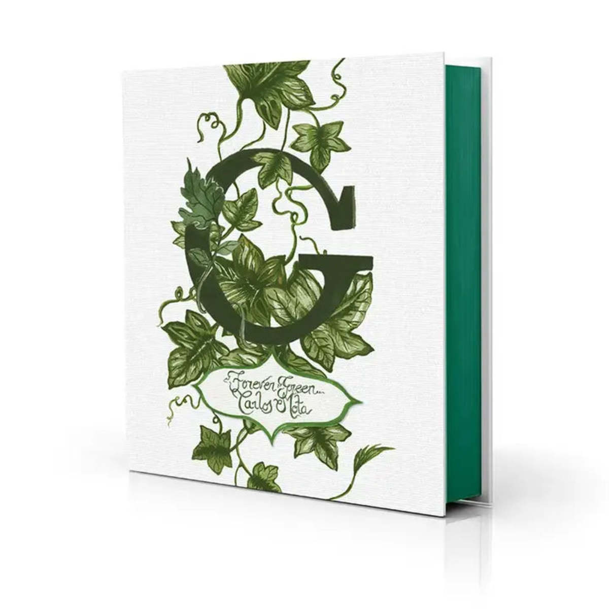 Lillie Alexander Boutique G: Forever Green Book - Image 1 of 1