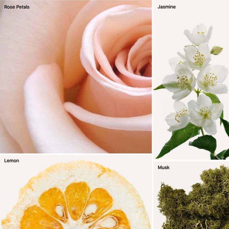 Dusa Fragrances Baies 5 Fl Oz Reed Diffuser