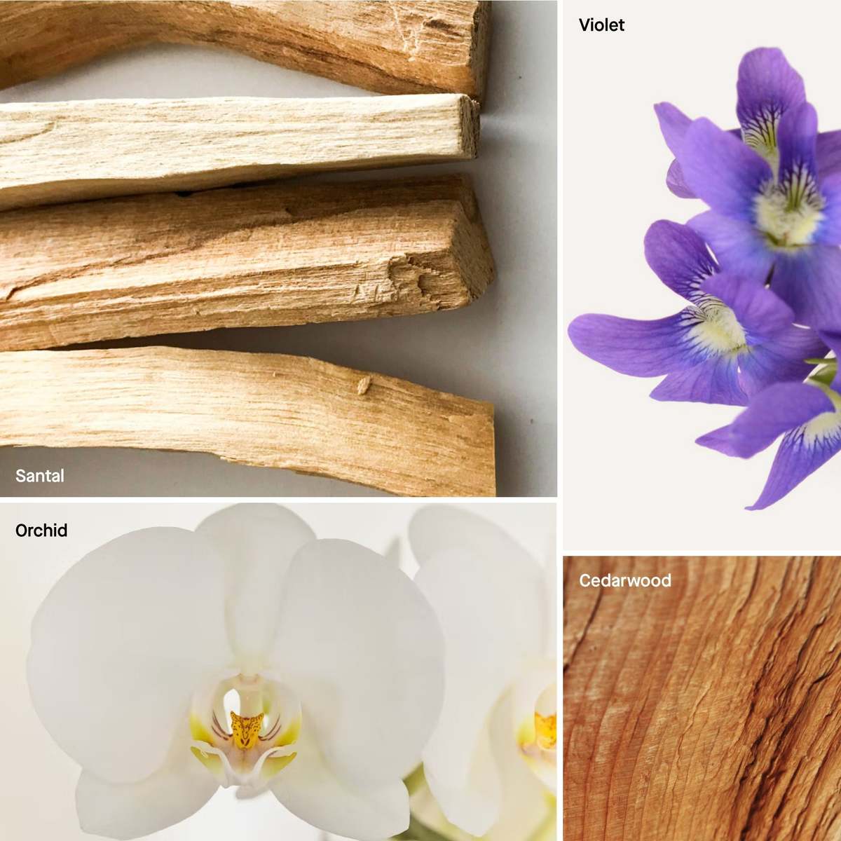 Dusa Fragrances Santal Reed Diffuser Liquid Refill 5 fl oz - Image 2 of 3