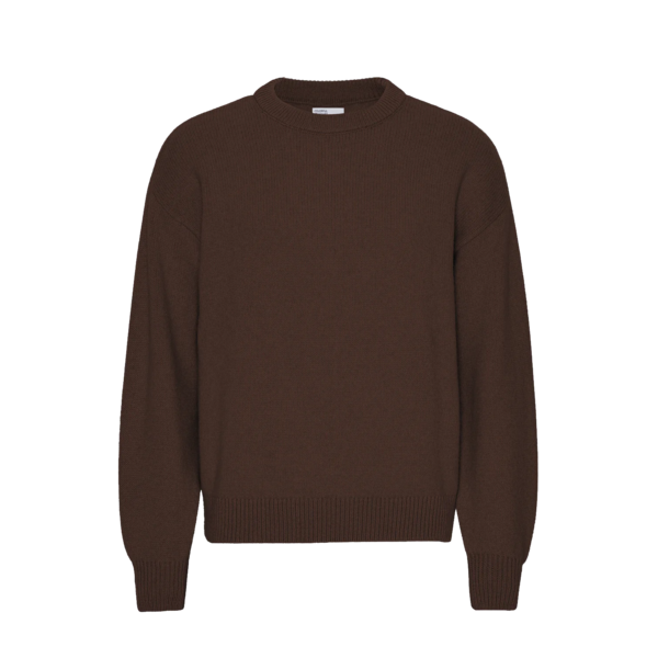 Colorful Standard Oversized Merino Crewneck Sweater