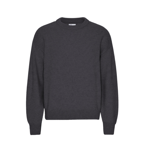 Colorful Standard Oversized Merino Crewneck Sweater