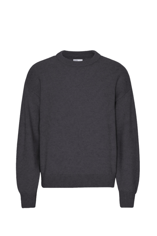 Colorful Standard Oversized Merino Crewneck Sweater