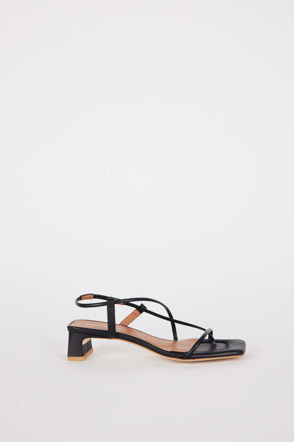 "INTENTIONALLY __________." Anca Heel