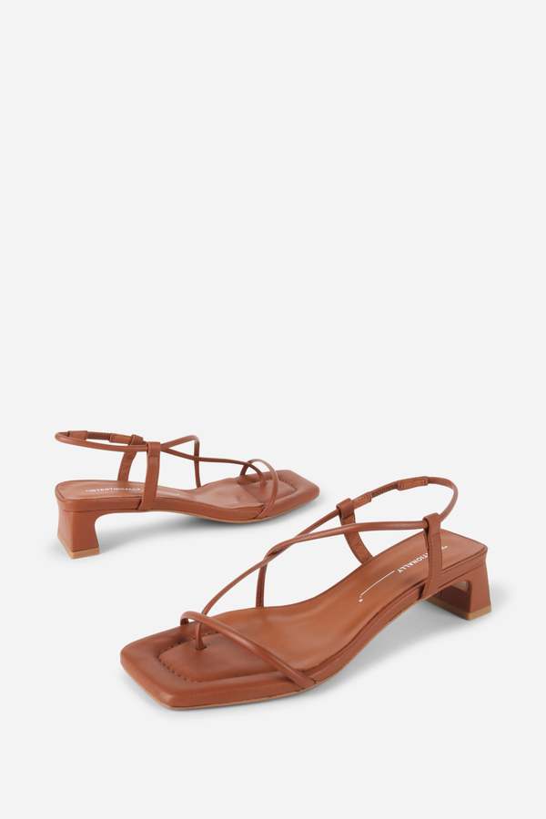 "INTENTIONALLY __________." Anca Heel