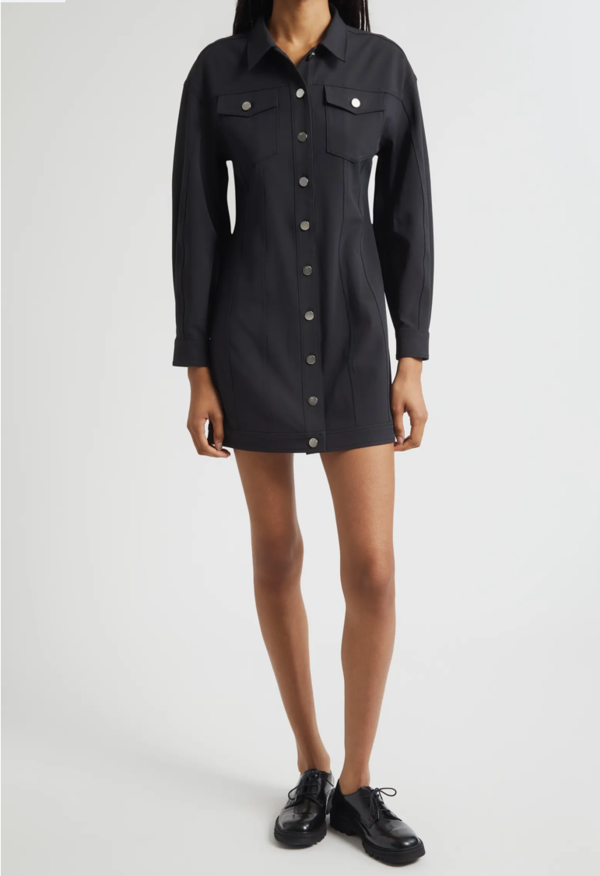 Cinq  Sept Nolween Shirtdress
