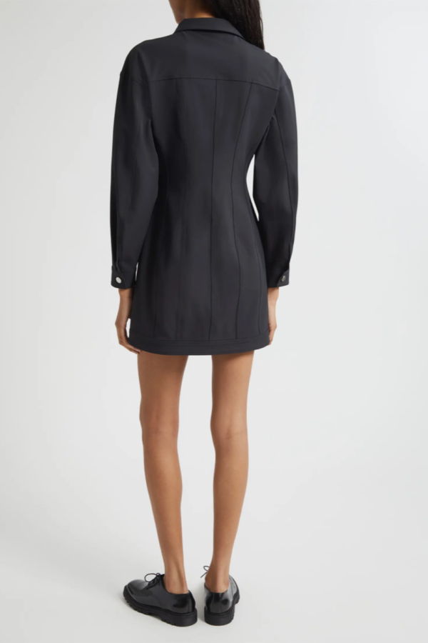 Cinq à Sept Nolween Shirtdress