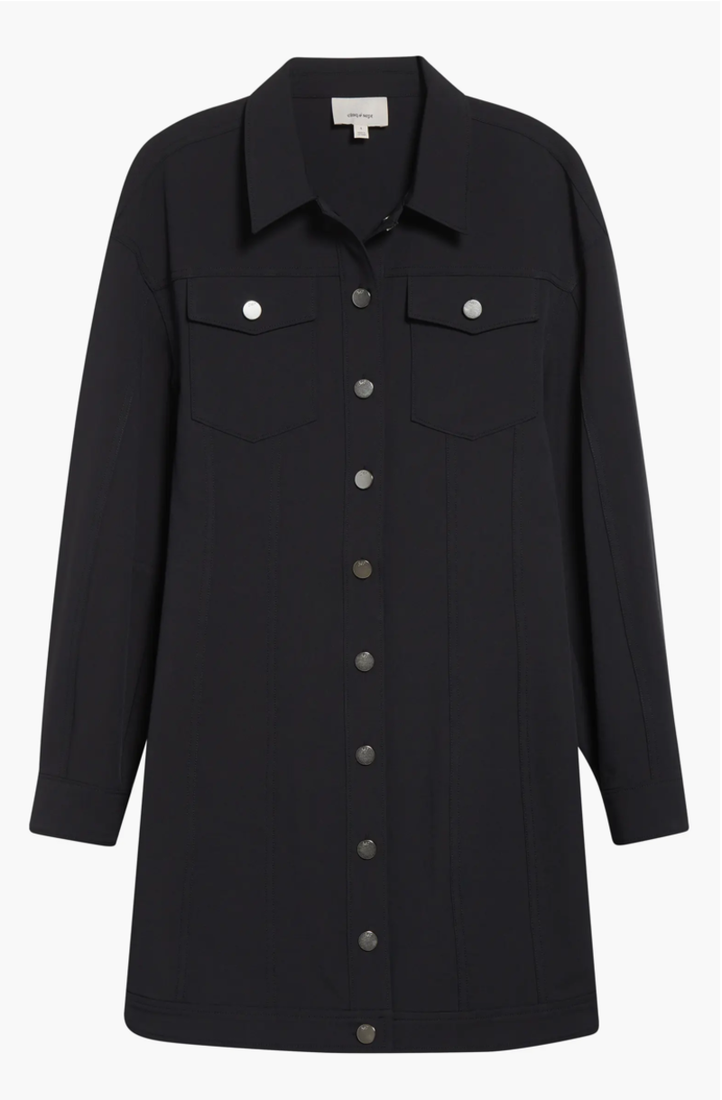 Cinq  Sept Nolween Shirtdress