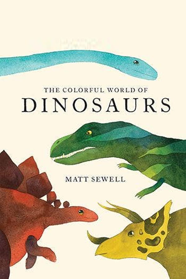 Colorful World of Dinosaurs Book