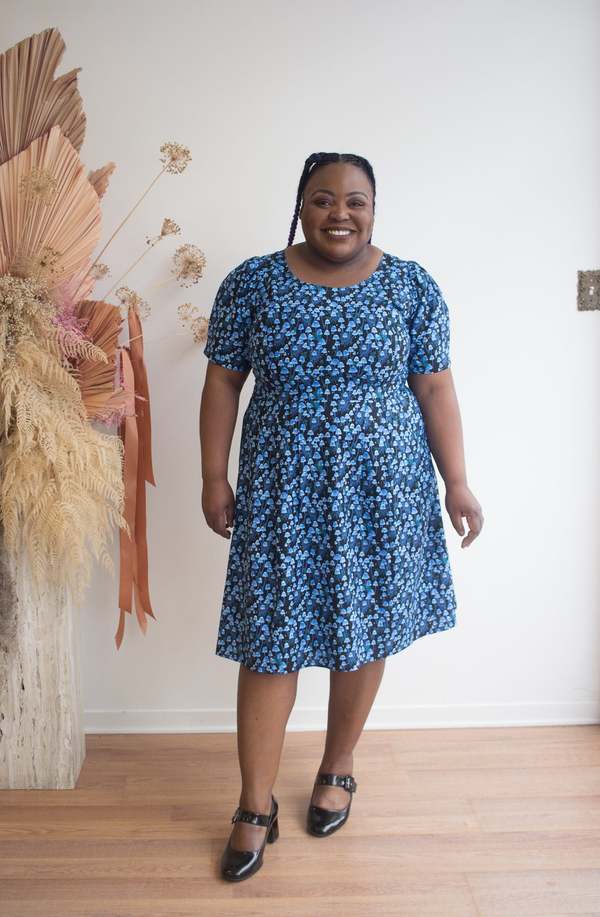 Birds of North America Winter Chippy Dress Birds of North America Winter Chippy Dress