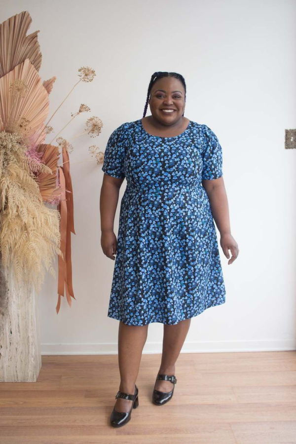 Birds of North America Winter Chippy Dress