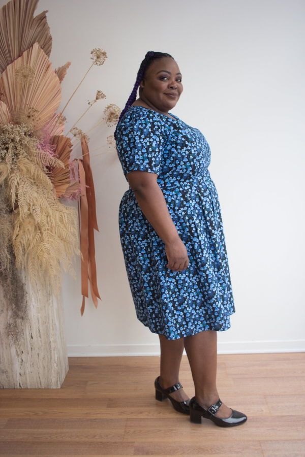 Birds of North America Winter Chippy Dress