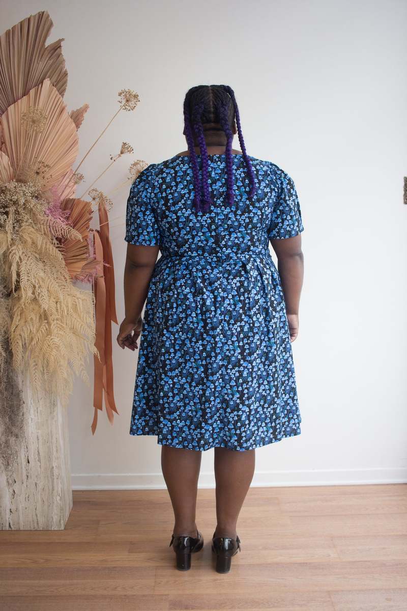 Birds of North America Winter Chippy Dress