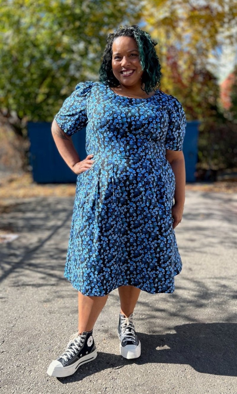 Birds of North America Winter Chippy Dress