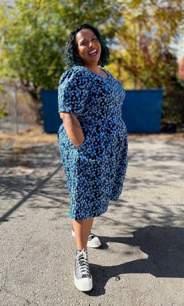 Birds of North America Winter Chippy Dress