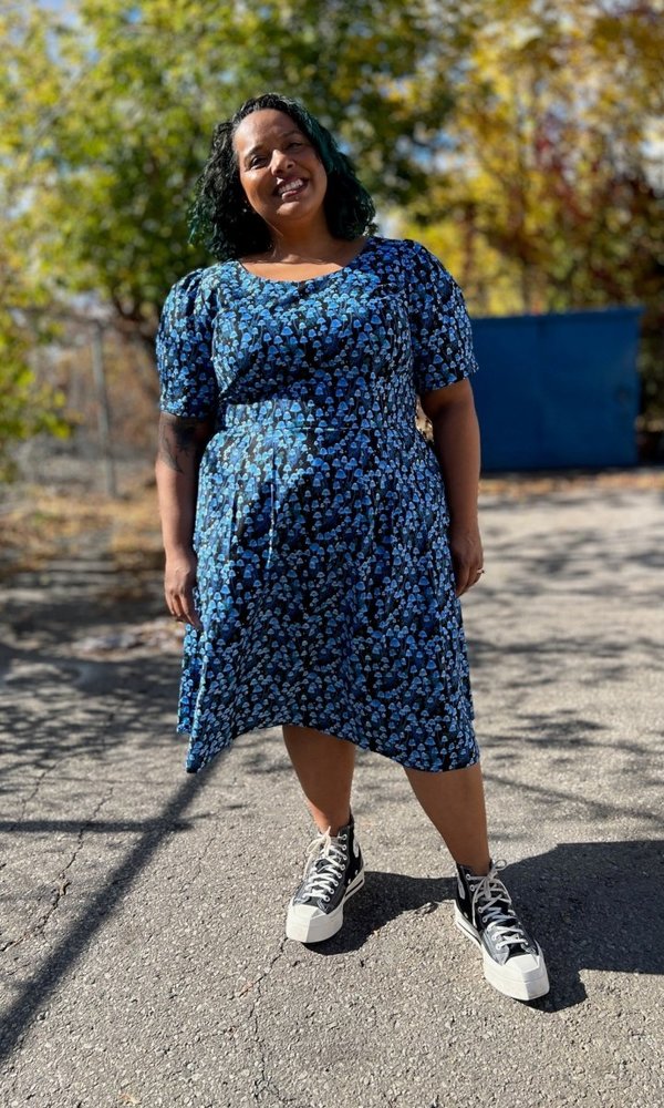 Birds of North America Winter Chippy Dress