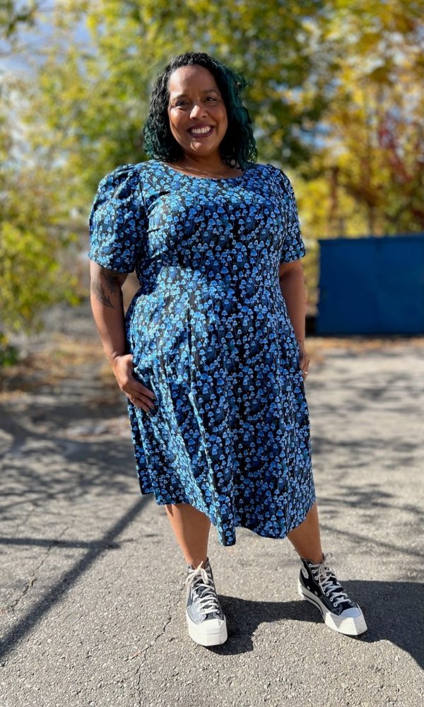 Birds of North America Winter Chippy Dress